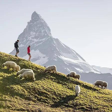 Eagle Horst-cozy Matterhorn View By Inspiring Places Ζερμάτ